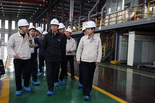 4461606371618564.jpg 1.JPG